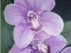 a4-orchids_r