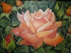 walpole-roses-002_r