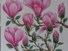 spring-magnolia_r